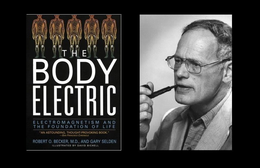 The Body Electric Dr. Robert O. Becker en Español